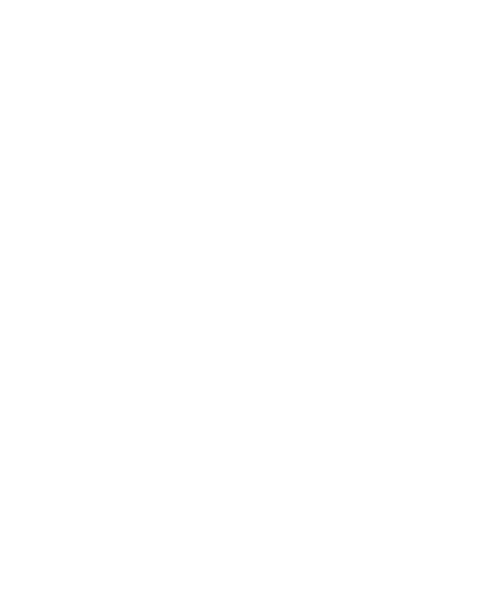New Teddy's